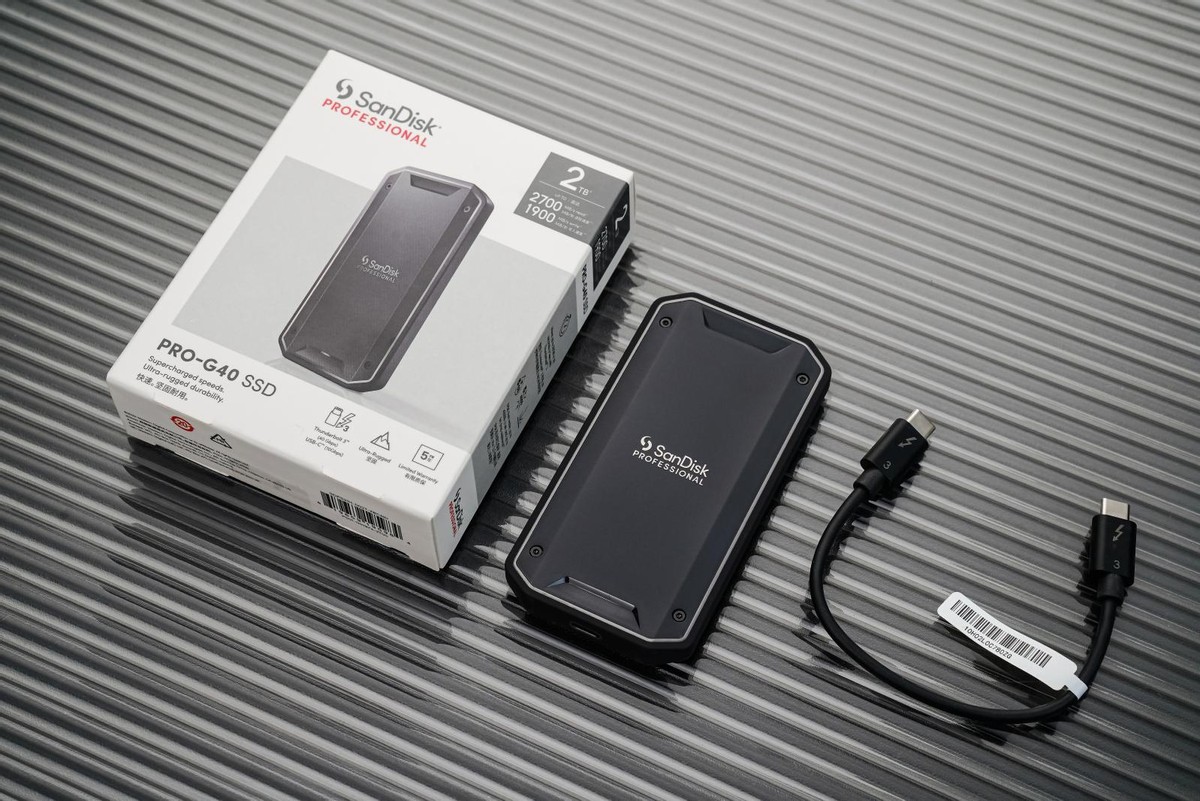 闪迪nvme固态硬盘测评,闪迪大师prog40和极客