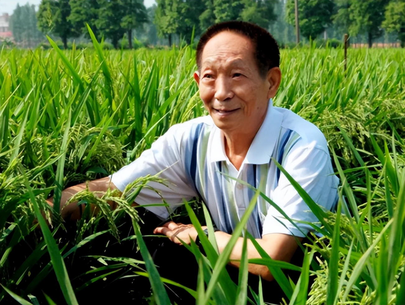 人兽真能杂交，日本批准“人兽杂交胚胎”实验，是福是祸？