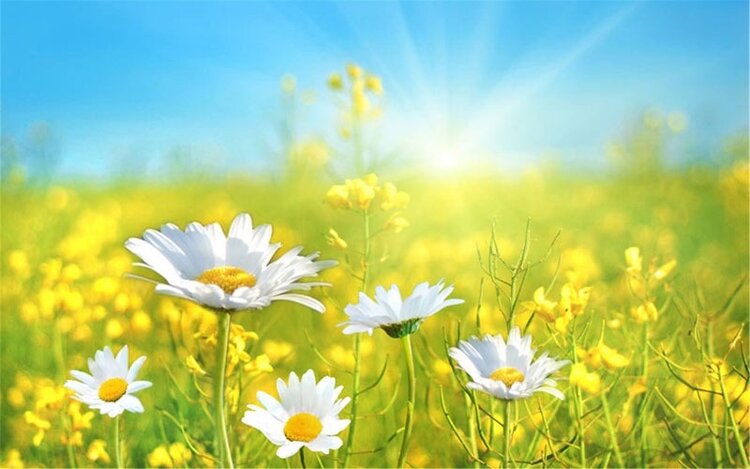 诗词技法36例,诗词入门基本知识大全