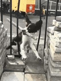 欢乐网图：手机带了但快没电了，又要用也没法充电，那才叫难受呢