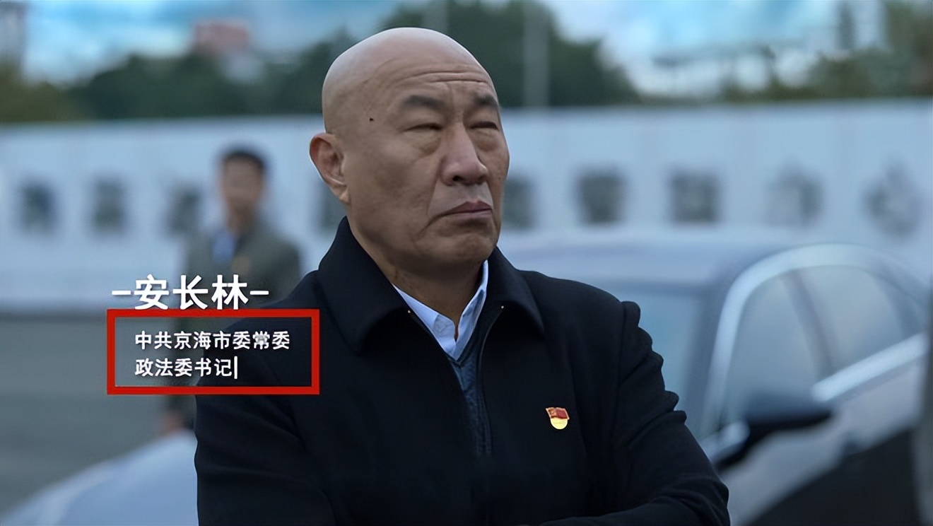 狂飙安长林是什么职务,狂飙安长林后来担任什么职务