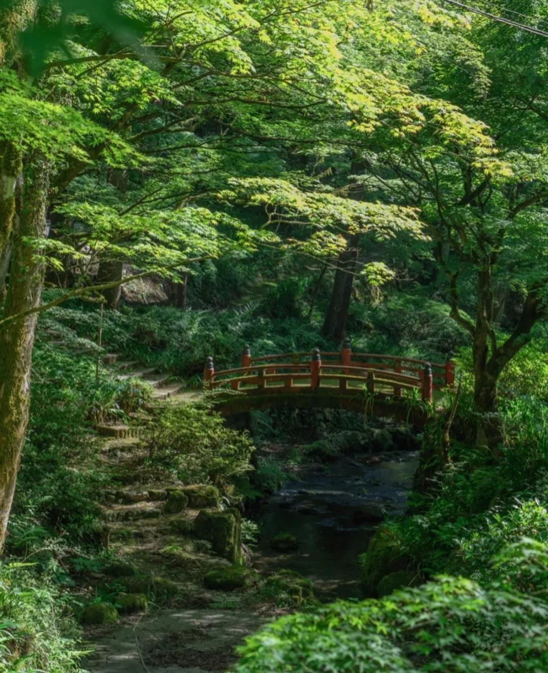 日本小众出行仿佛一脚进入梦幻油画世界！