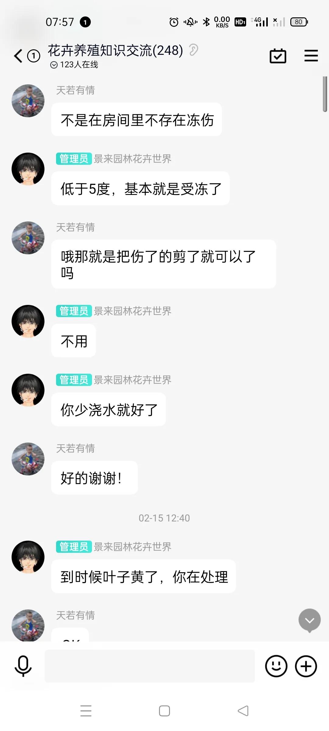 我家的绿植黄叶了怎么办,绿植出现病虫害怎么处理
