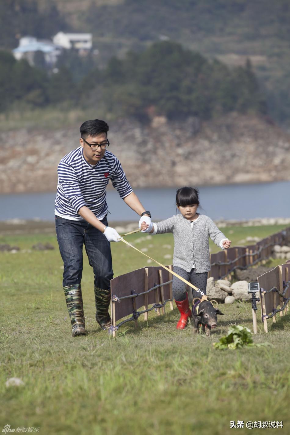 12年的婚姻还是过不下去了要离婚,12年的婚姻彻底结束了