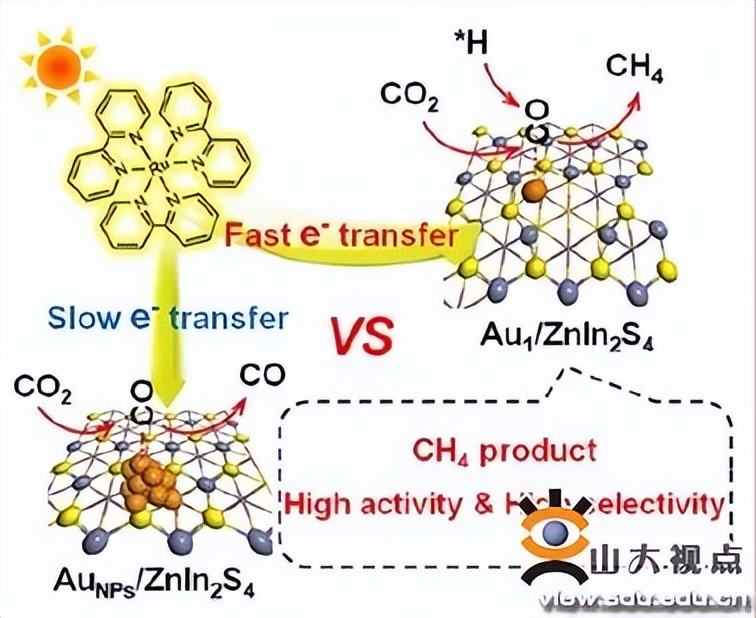 您的SDU学术一览，请及时签收！