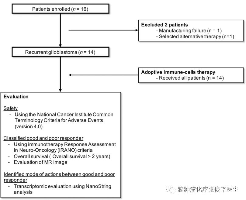 自体过继免疫细胞疗法在复发GBM患者中的安全性和疗效