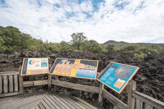 游记分享推送,游记分享我的旅行日记