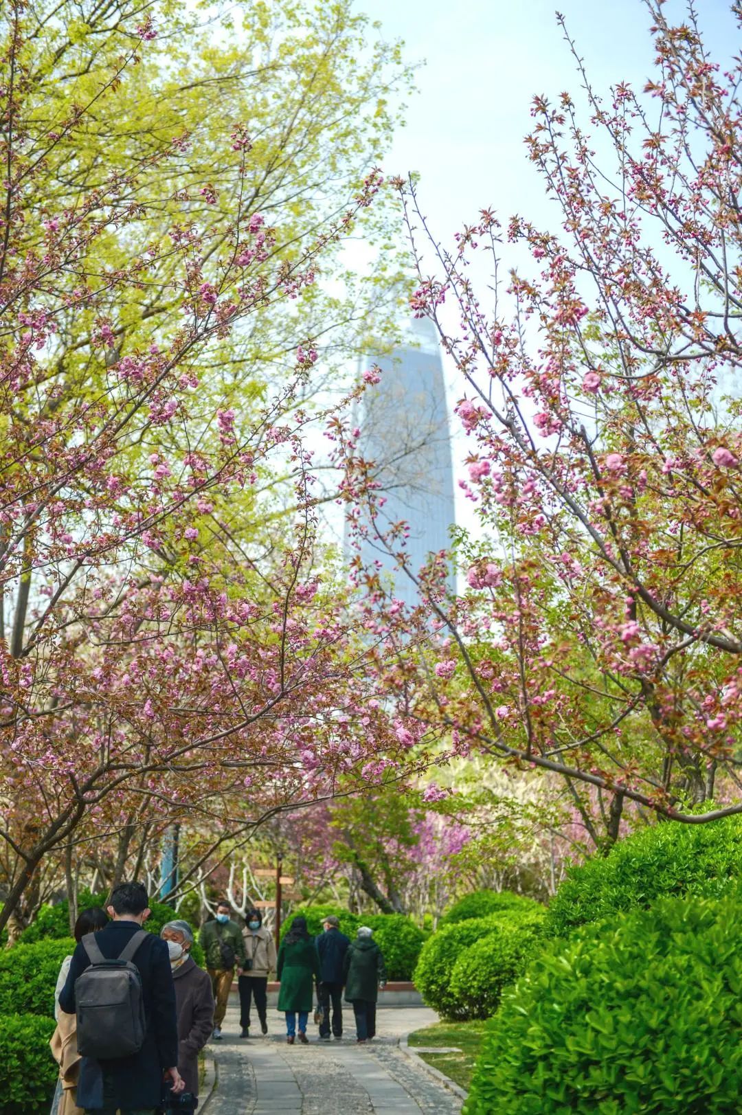 济南最火的几个网红景点打卡,济南网红打卡点景点