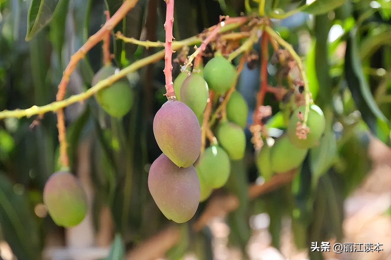 调查赚钱,调查问卷赚钱项目