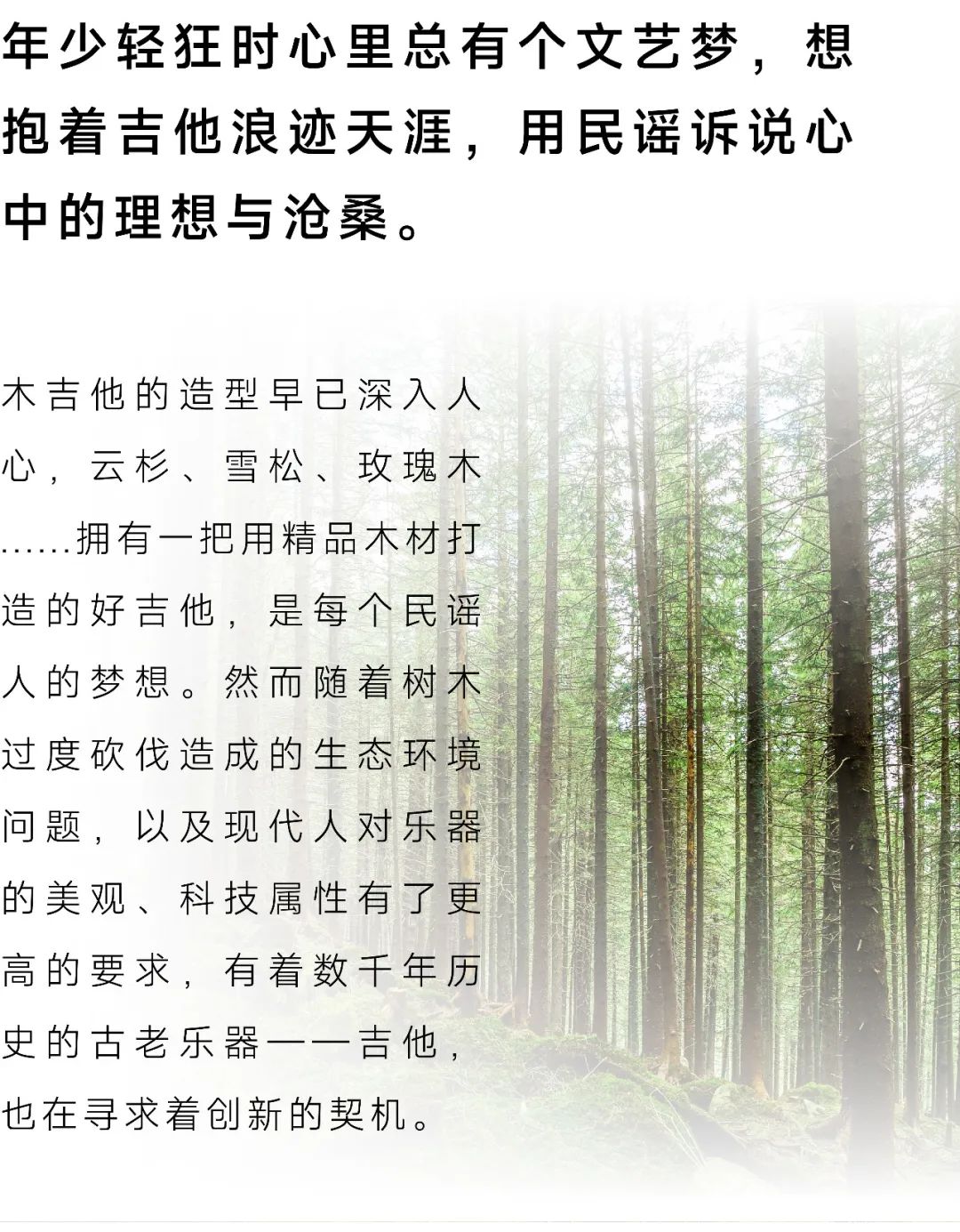 木吉他工艺和木材哪个更重要,吉他用什么木材最好