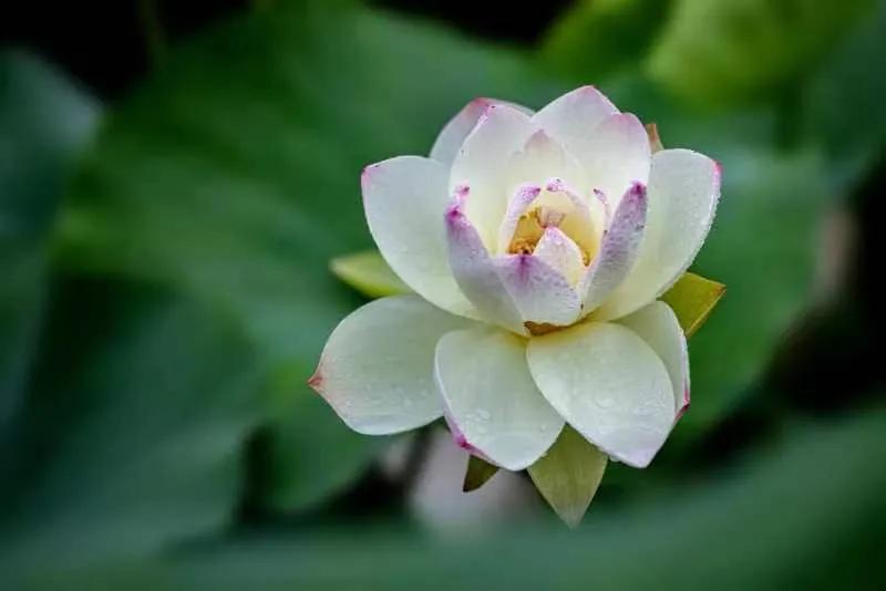 投资理财机会在哪里,投资理财怎么入门第一年才能赚钱