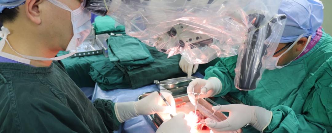 全球第四例！全喉移植有多难？华西主刀医生独家揭秘