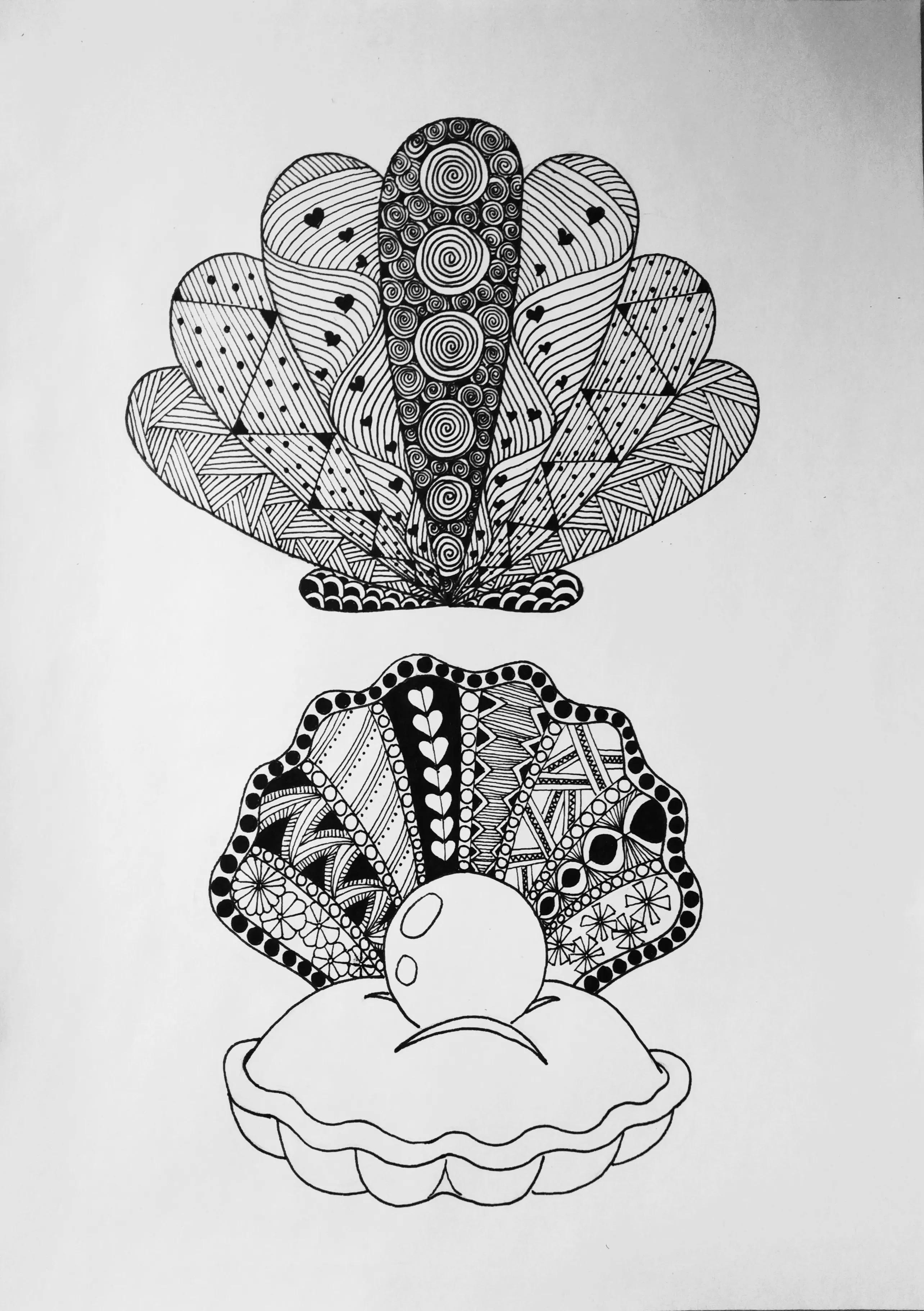 在扇贝上怎么画简单又漂亮,儿童线描画扇贝