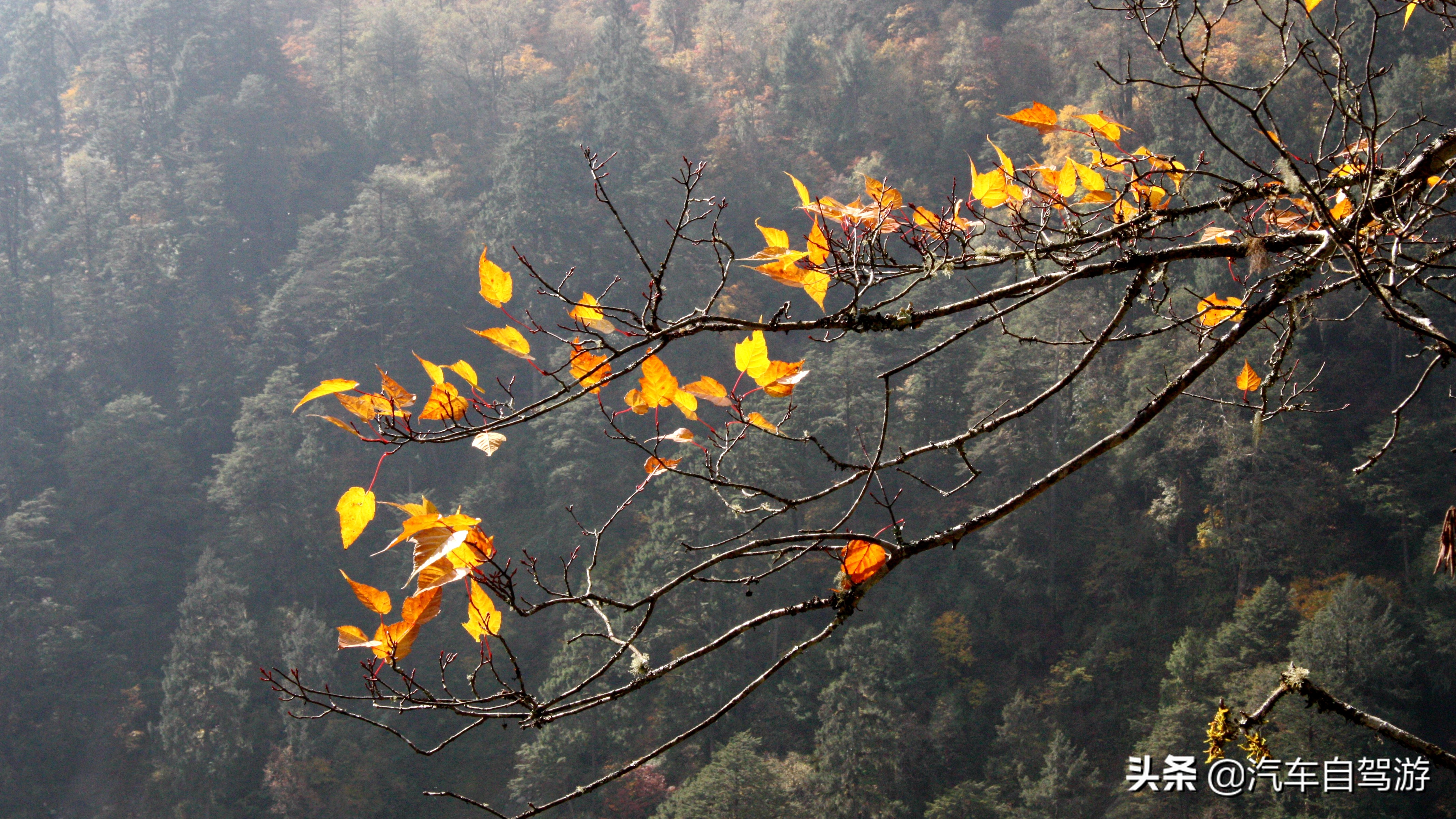 海螺沟5天自驾游路线推荐,海螺沟旅游攻略自驾游路线推荐
