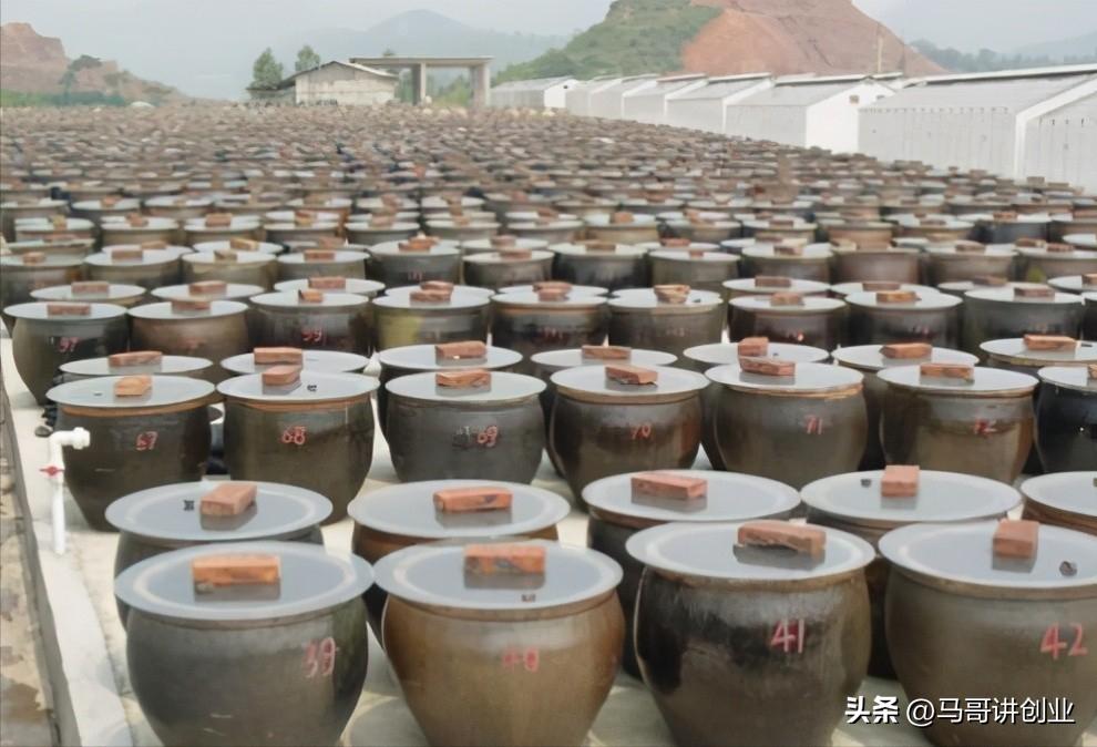 农村养殖种植与三农创业致富项目,农村怎么创业致富的好项目