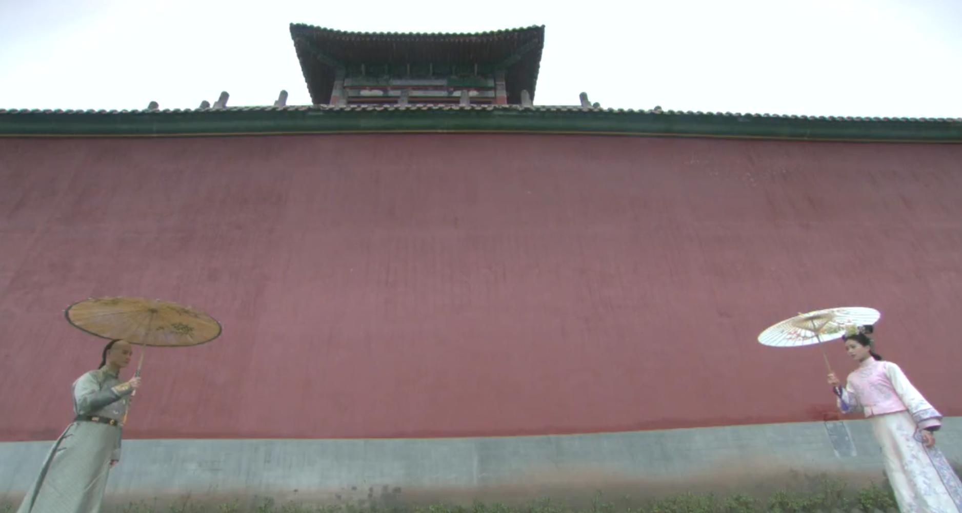 步步惊心八爷对四爷评价,步步惊心八爷临死前的真相