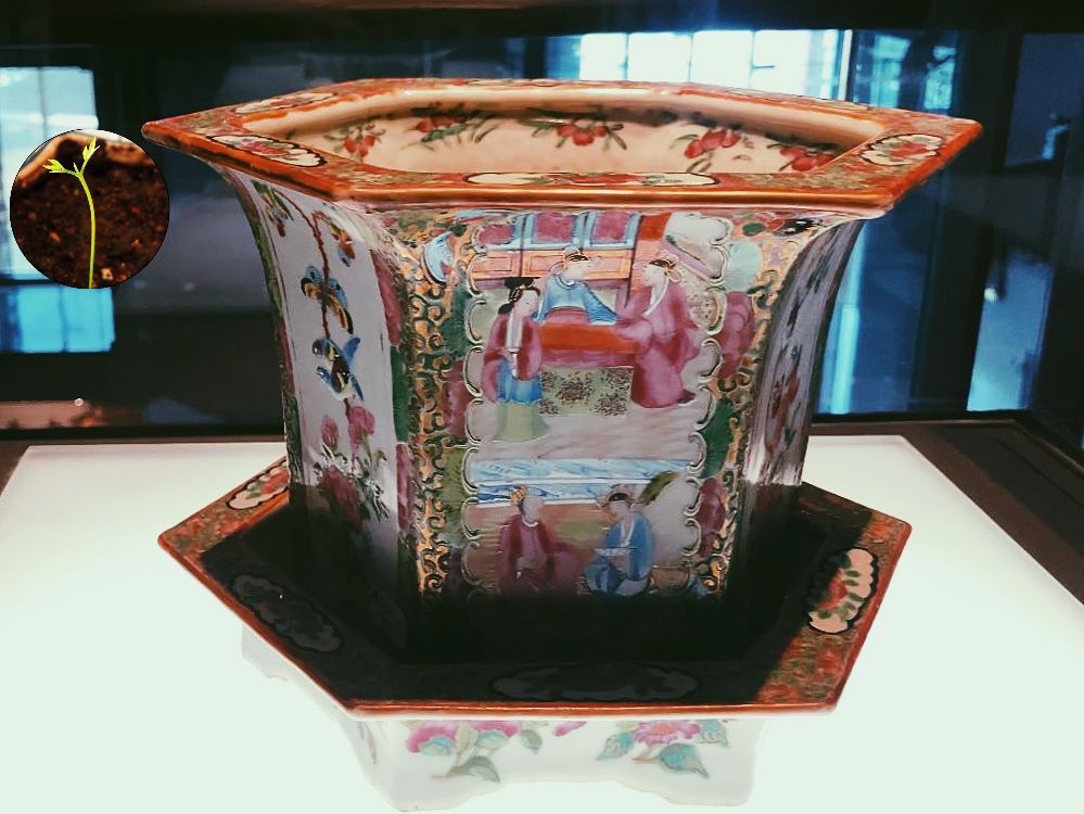 陶瓷鉴别入门教程,有关扫盲资料