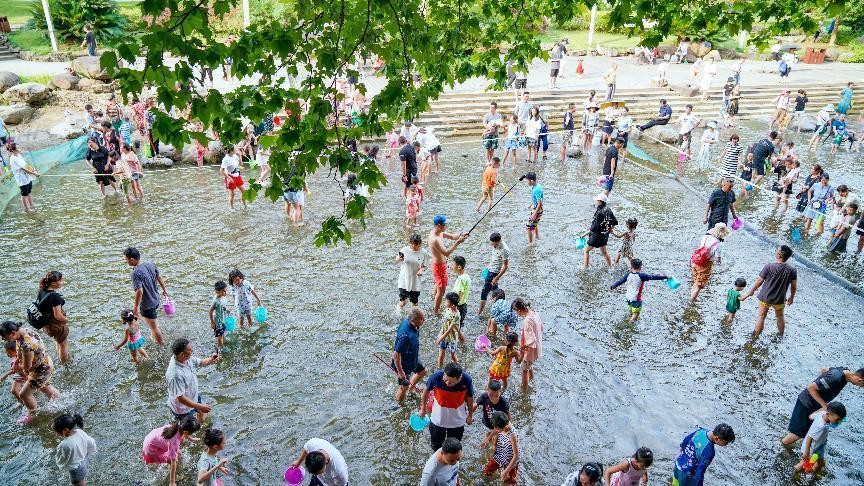 金佛山旅游体验,来金佛山体验清凉之旅