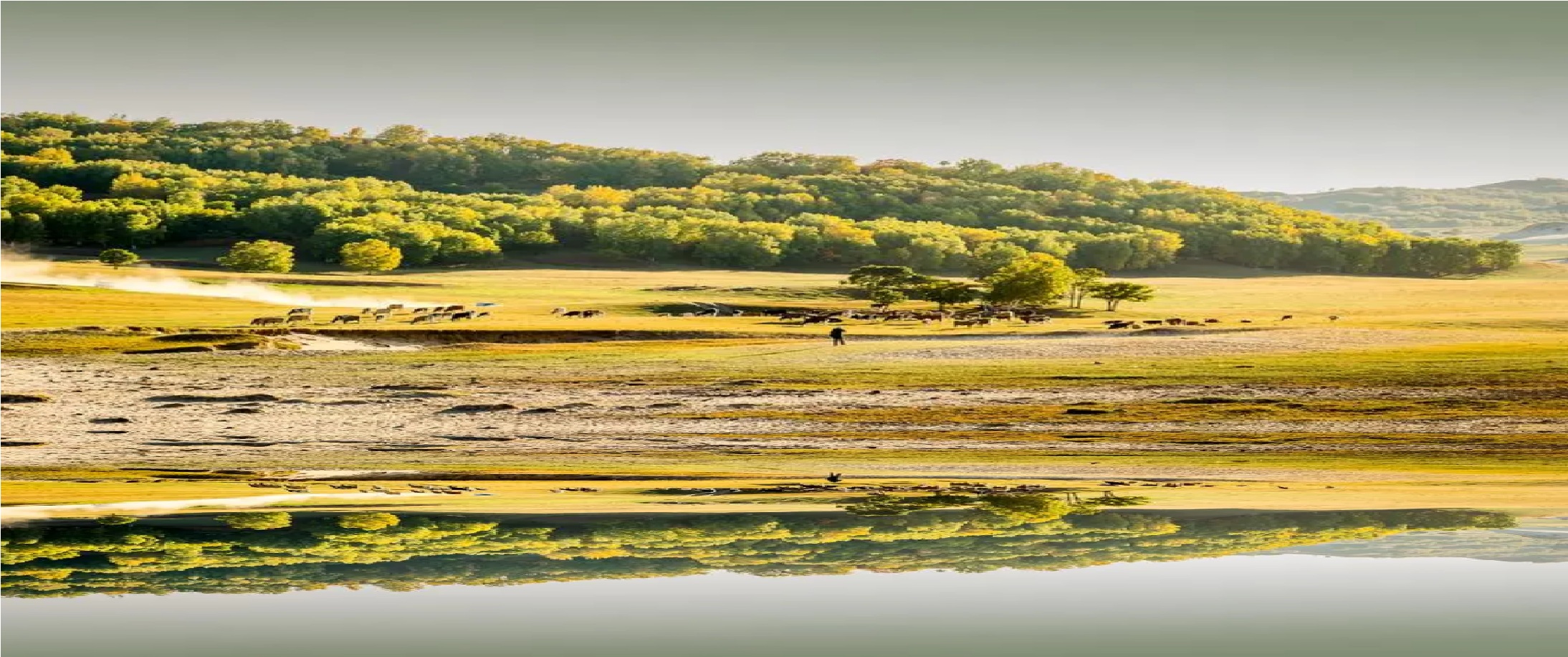 如何当一个合格的胸壁外科医生？（1）