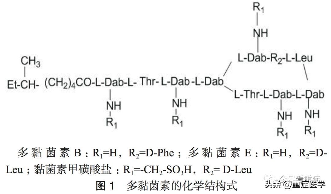 多粘菌素的抗菌作用机制是,多黏菌素临床