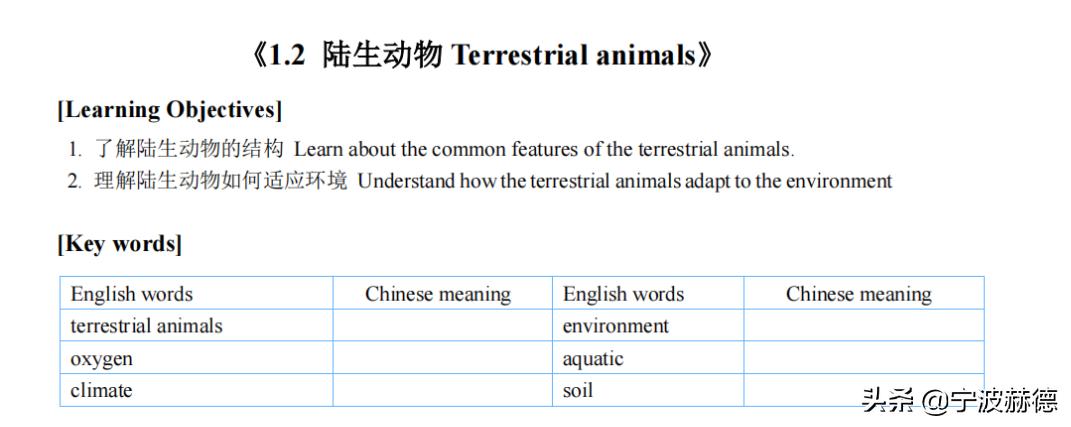 除了直升初中部，赫德6年级还有哪些特点？