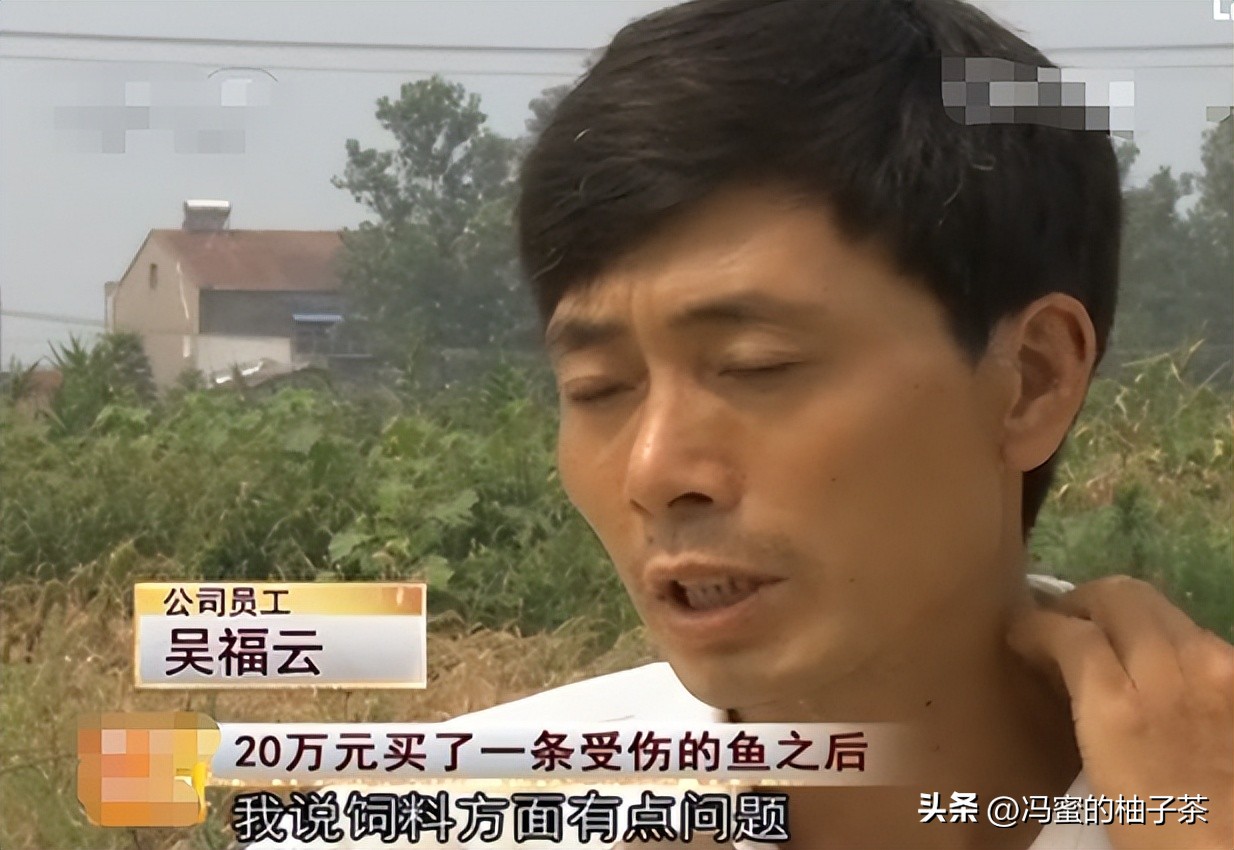 男子花13万买的鱼因停电缺氧死亡,男子花20万买一条受伤鲶鱼后续