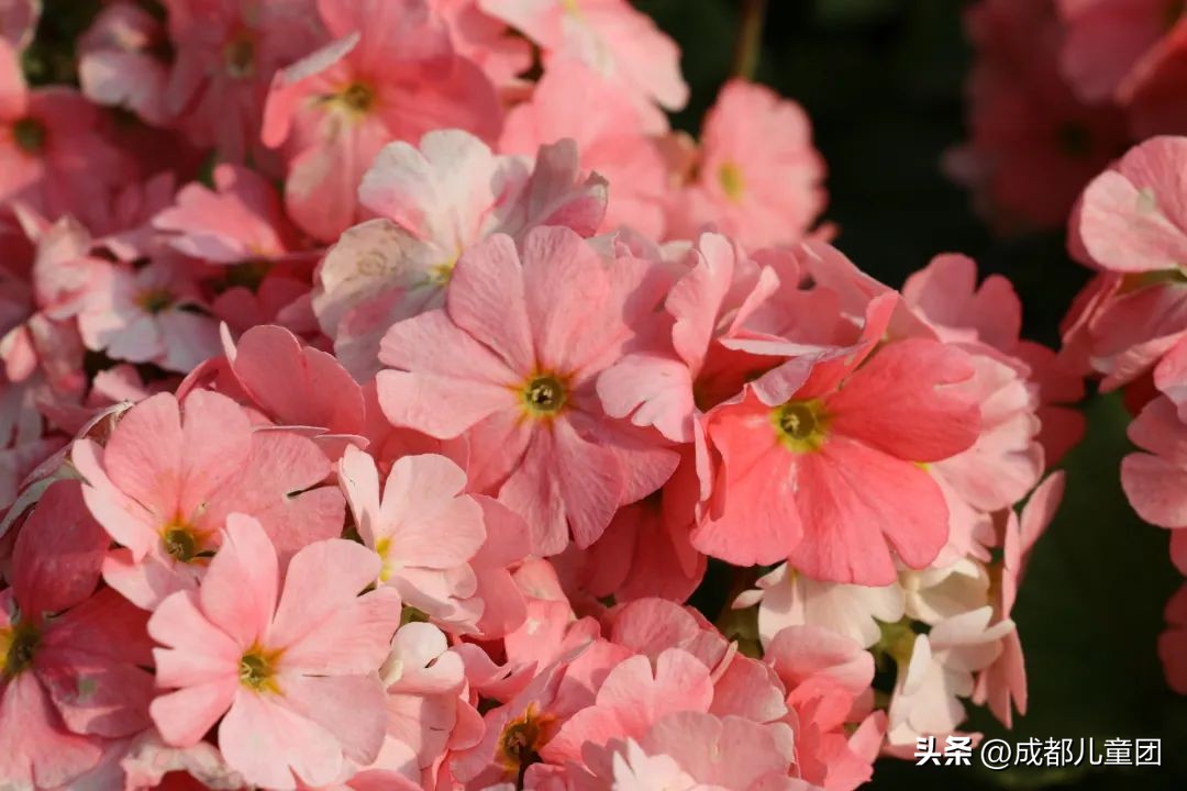 地铁3号线能到的美景地方,一号线地铁直达的风景