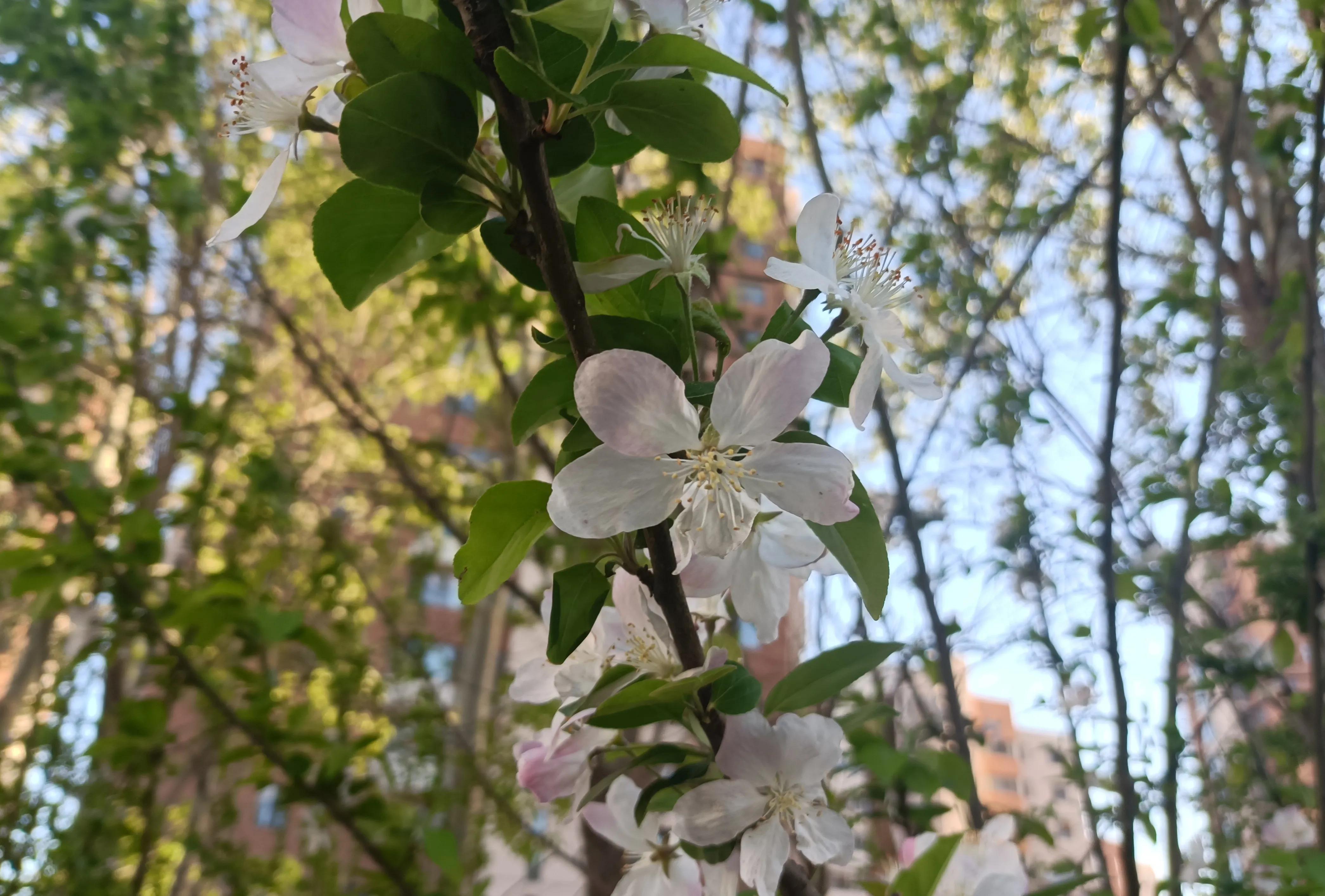 机械本科毕业就业,机械毕业怎么月薪2万