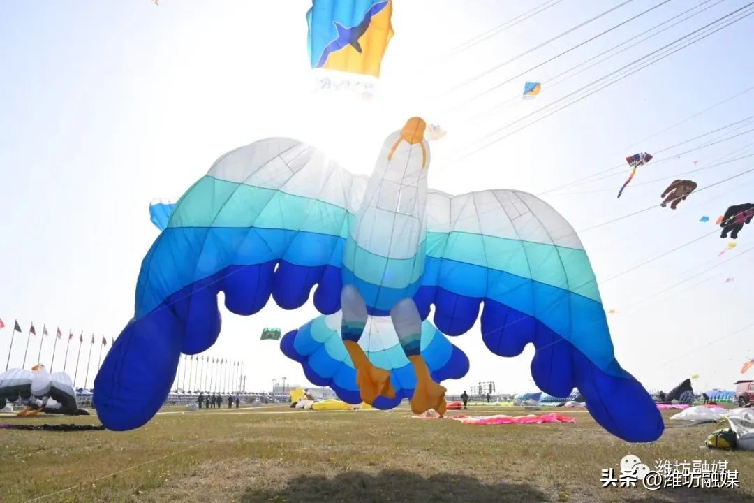 开幕照片视频,最新开幕式片段