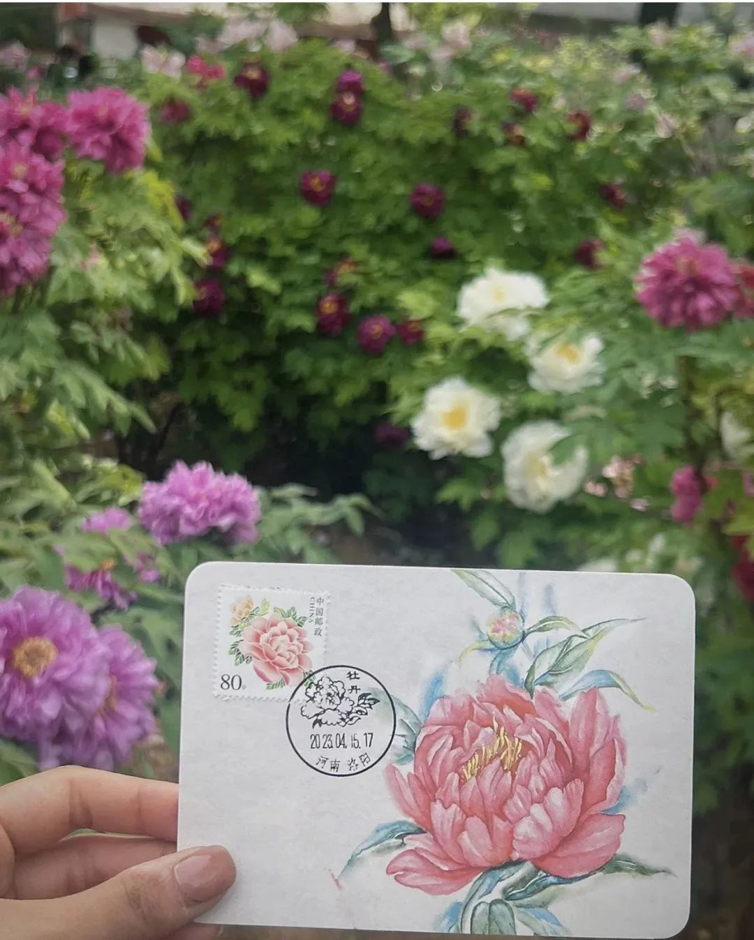 洛阳通关文牒景区打卡,洛阳老城打卡攻略