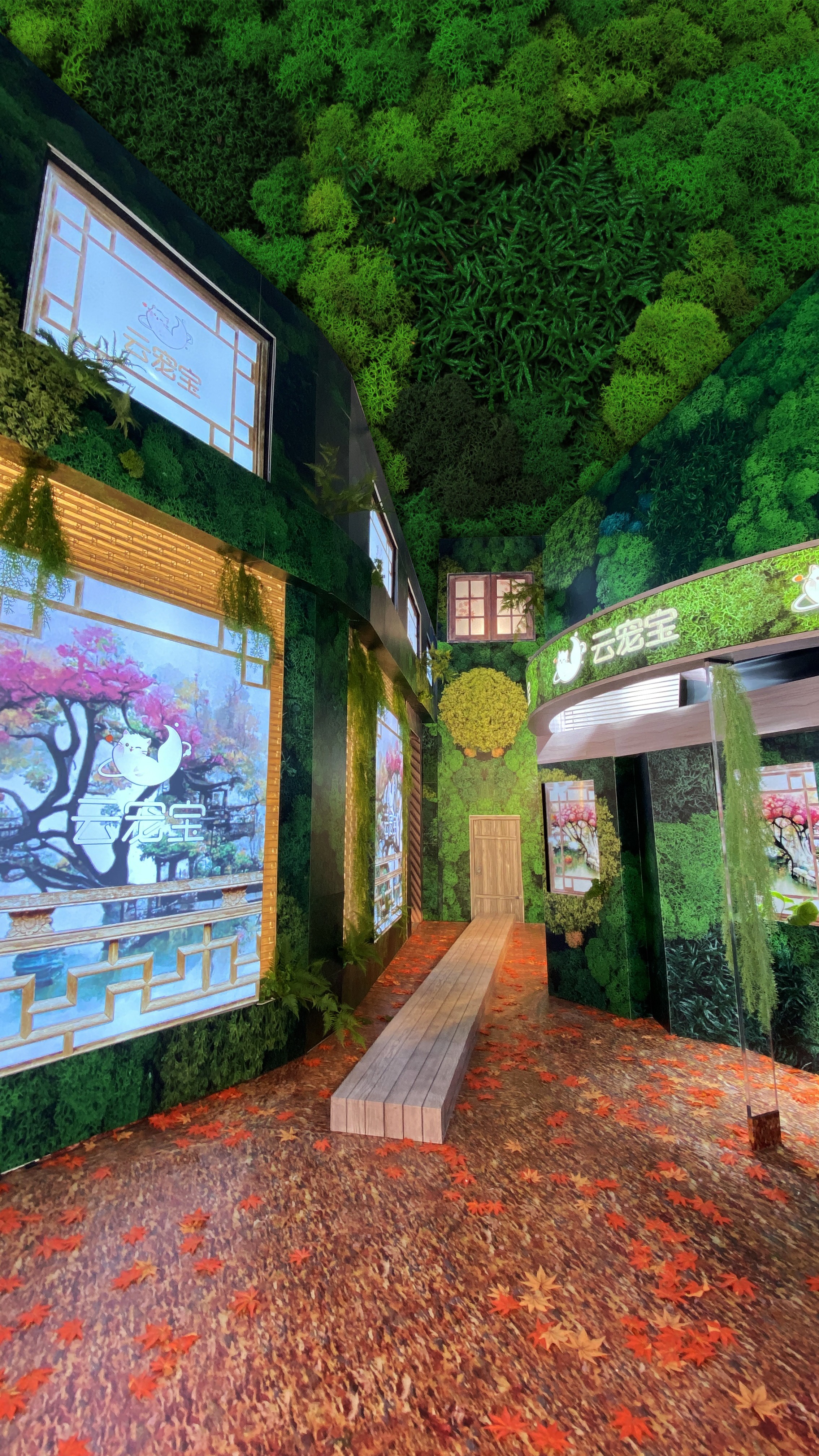 七色主题圆满收官双十一胡兵力拓直播新业态