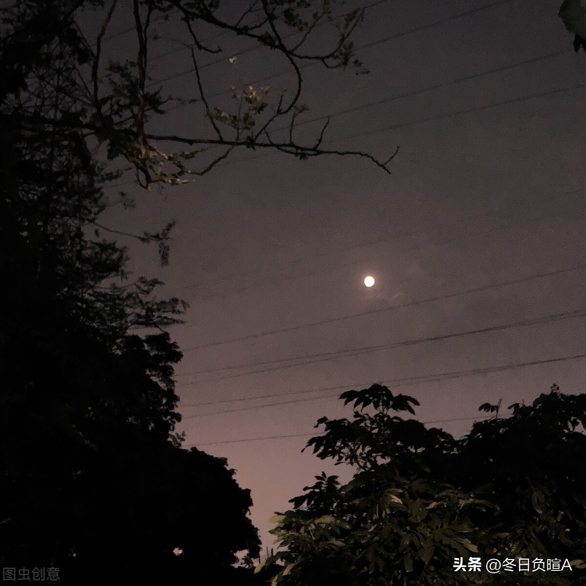 以中秋节为主题的优美诗词,中秋节最有意义的诗词