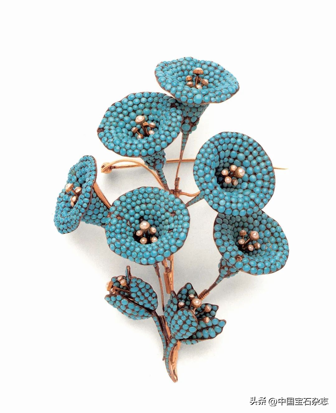 娆ф床鏃跺皻棣栭グ绯诲垪鍥捐В,娆х編鏃跺皻娼祦棣栭グ鍥剧墖