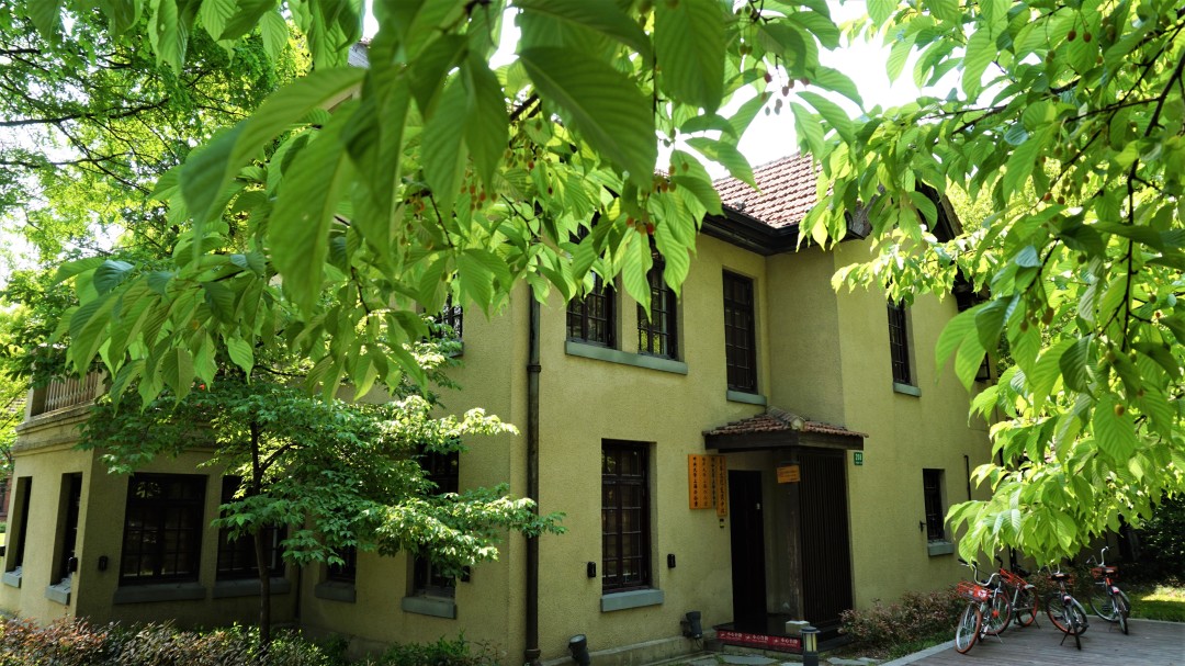 深度解析上海理工大学,上海理工大学小吗