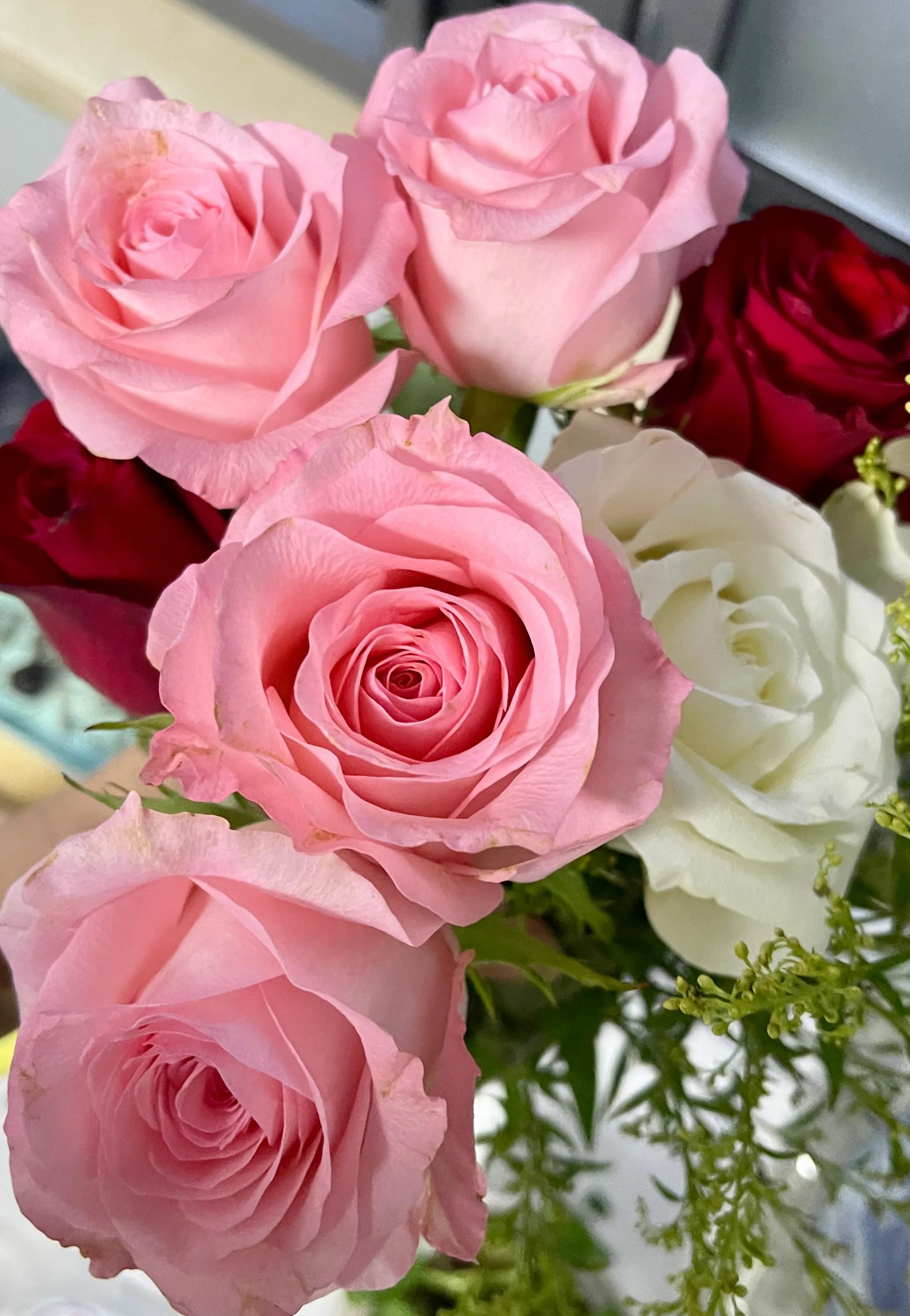 2023年办理港澳通行证需要的材料,2023年港澳通行证办理流程