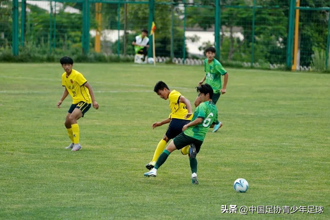 第二届中青赛u14男子组要举办吗,第二届中国青年联赛u19排名