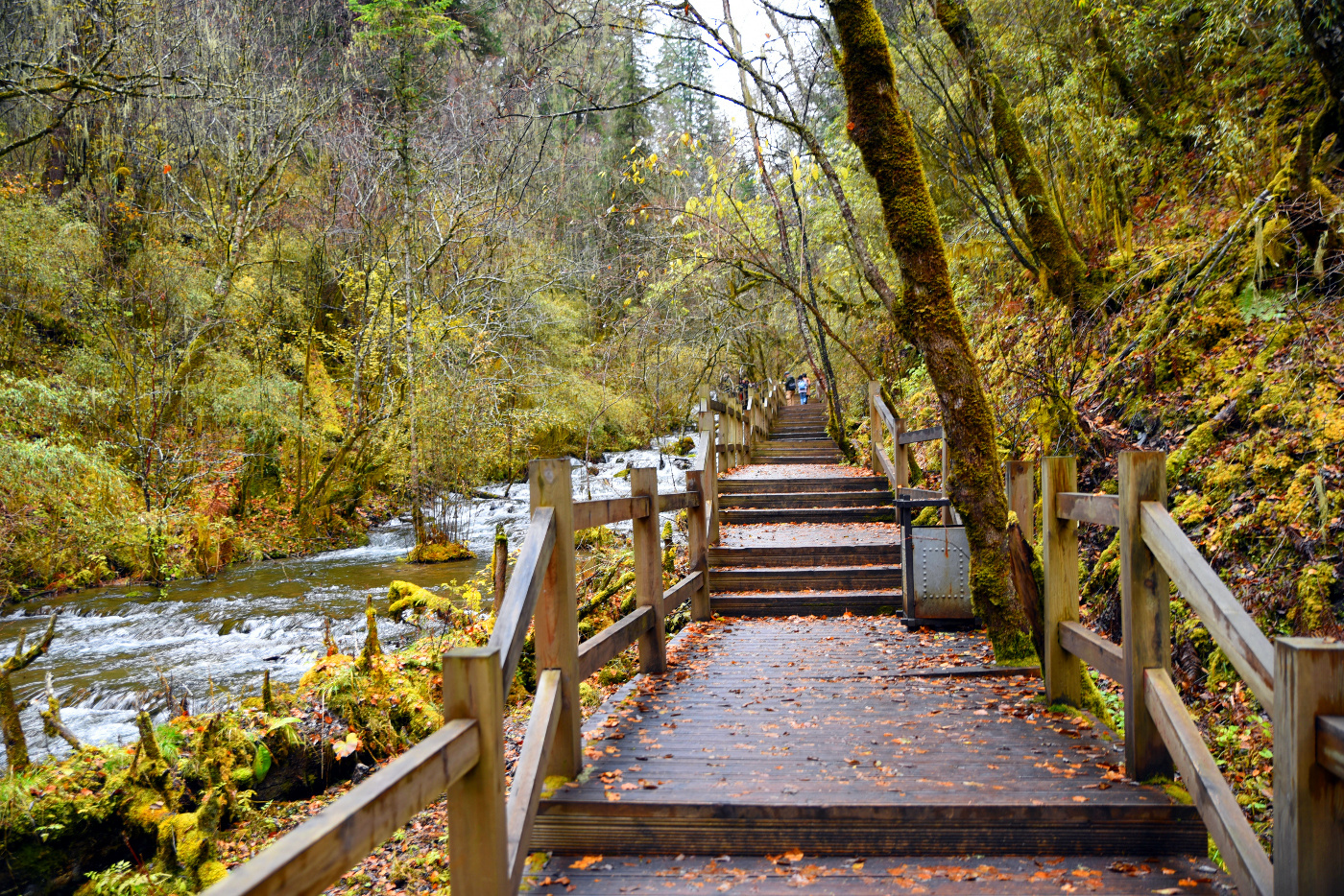 卡龙沟景区有什么好玩的,卡龙沟穿越松潘