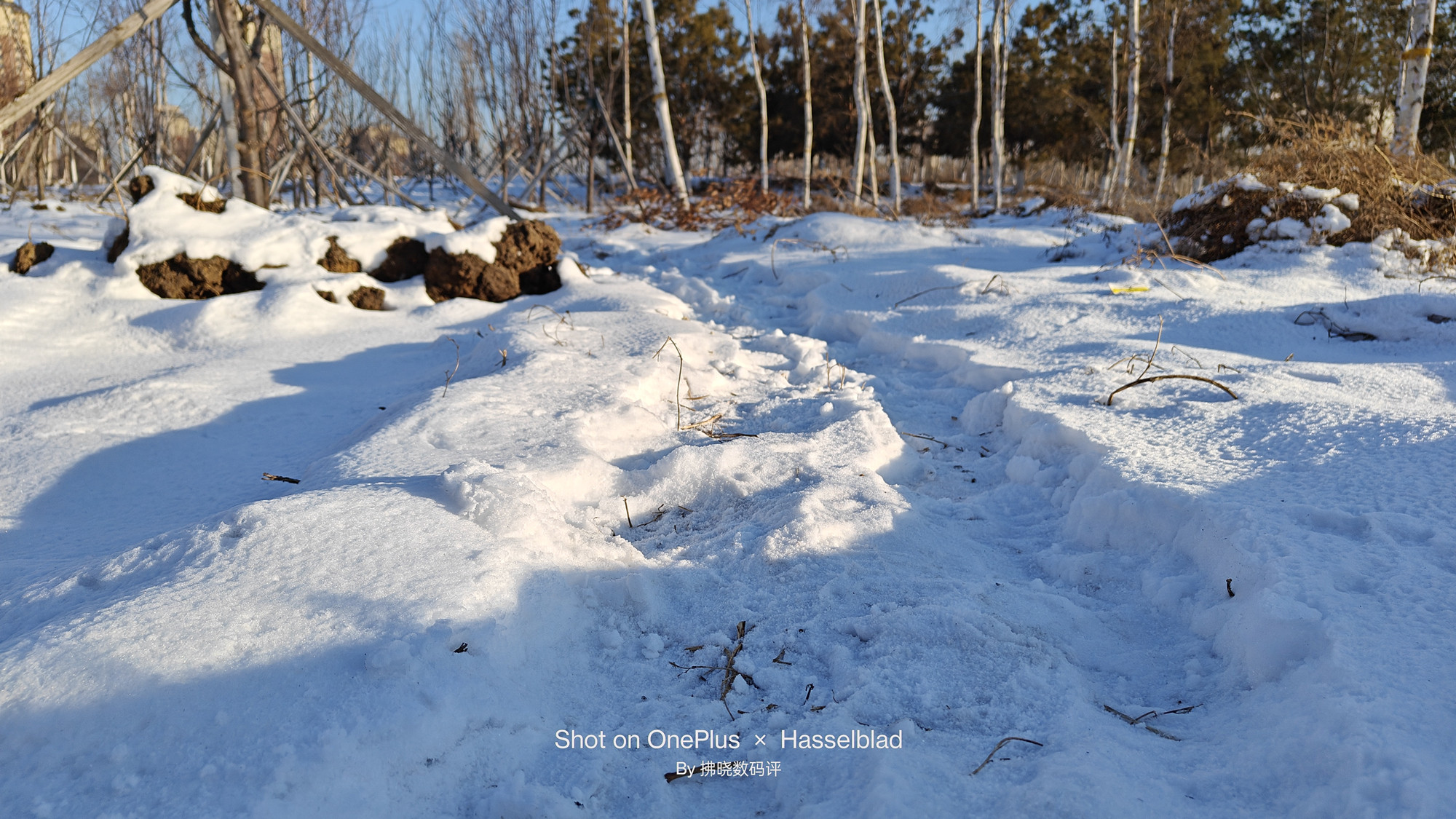 一加11手机全面分析,一加11概念版未来性能探索之作