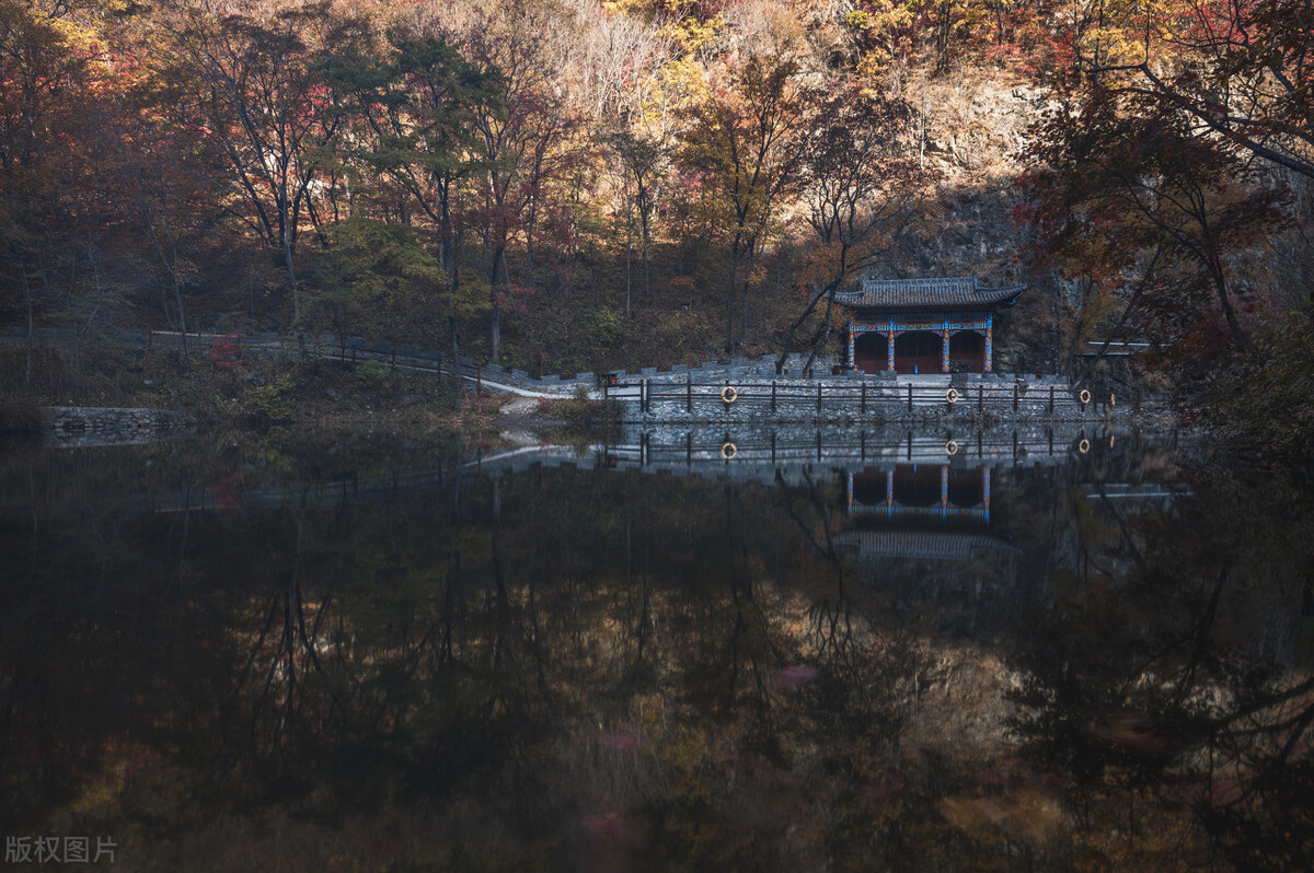 寓言小故事大道理感悟人生,一则通俗易懂的寓言故事