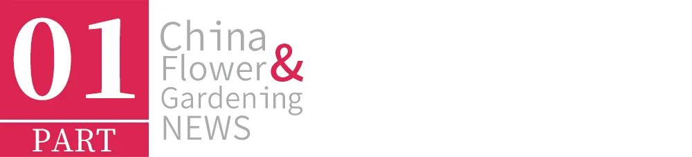 网上买的花种子靠谱么,网上买的花种子假的