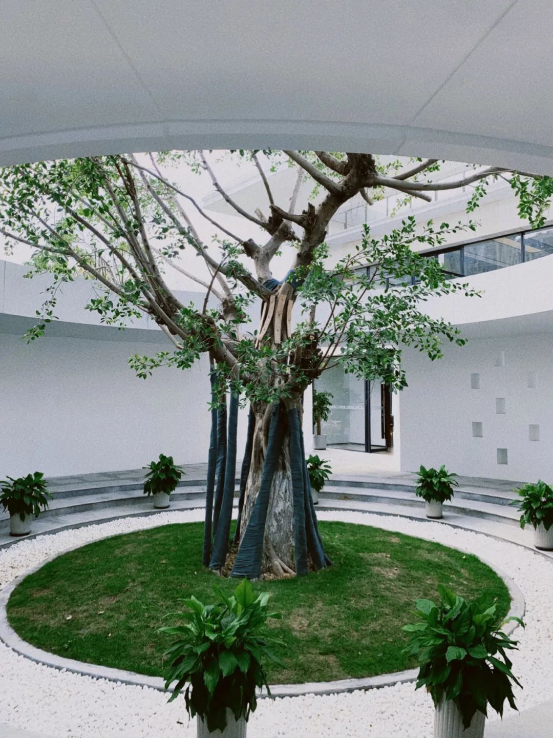 瑞安到乐清轻轨s2旅游攻略,温州s2轻轨瑞安到乐清时间表