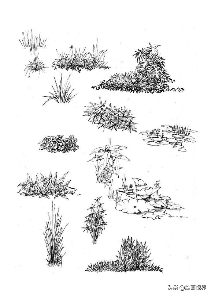 零基础不会画画怎么学当插画师,零基础画不好色彩