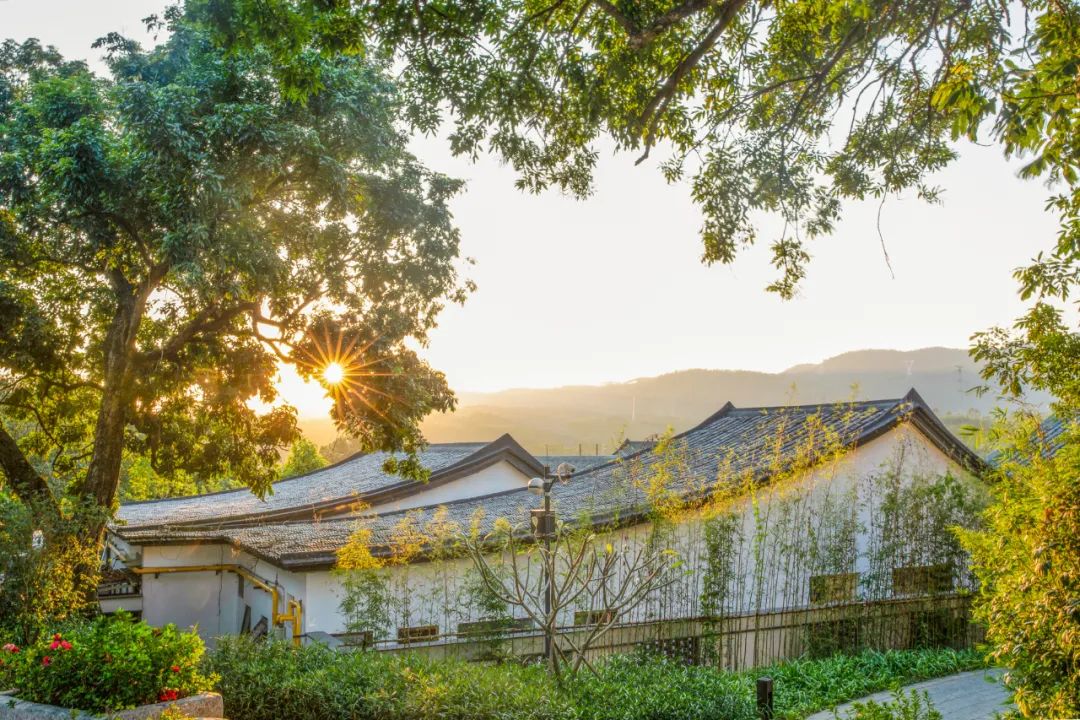 父亲节这天可以去哪玩,父亲节带父母游玩是最佳选择