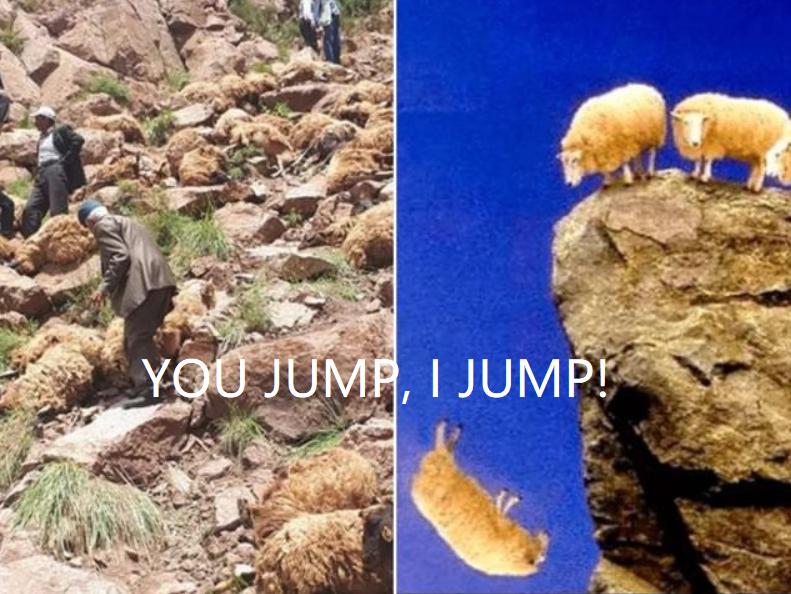 投资理财亏损的首因：智商太高，情商为零