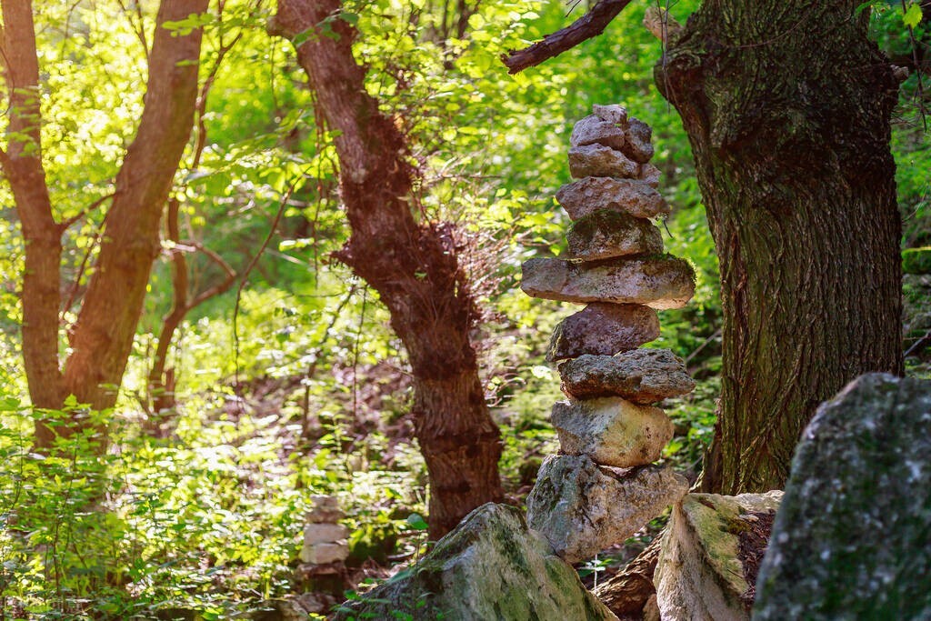 如何提升心力觉醒,心力最重要的修炼方法