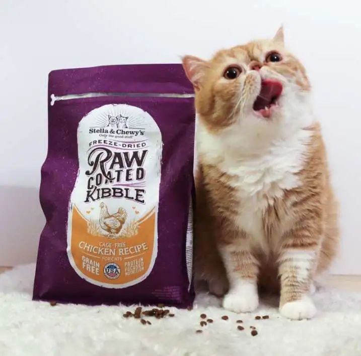 加速国内市场布局，SC官宣乐它奥利派为品牌两大业务代理