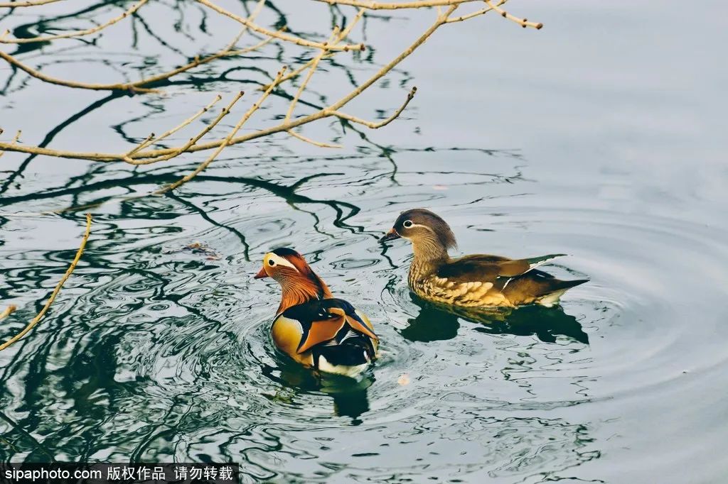 冬天颐和园昆明湖全景,观赏颐和园昆明湖