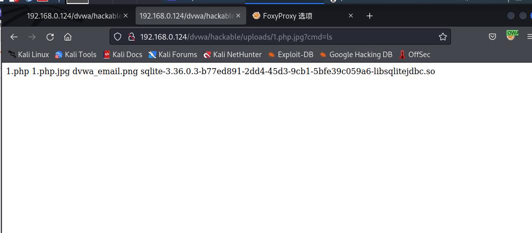 web渗透与漏洞挖掘pdf,web渗透漏洞挖掘项目报告