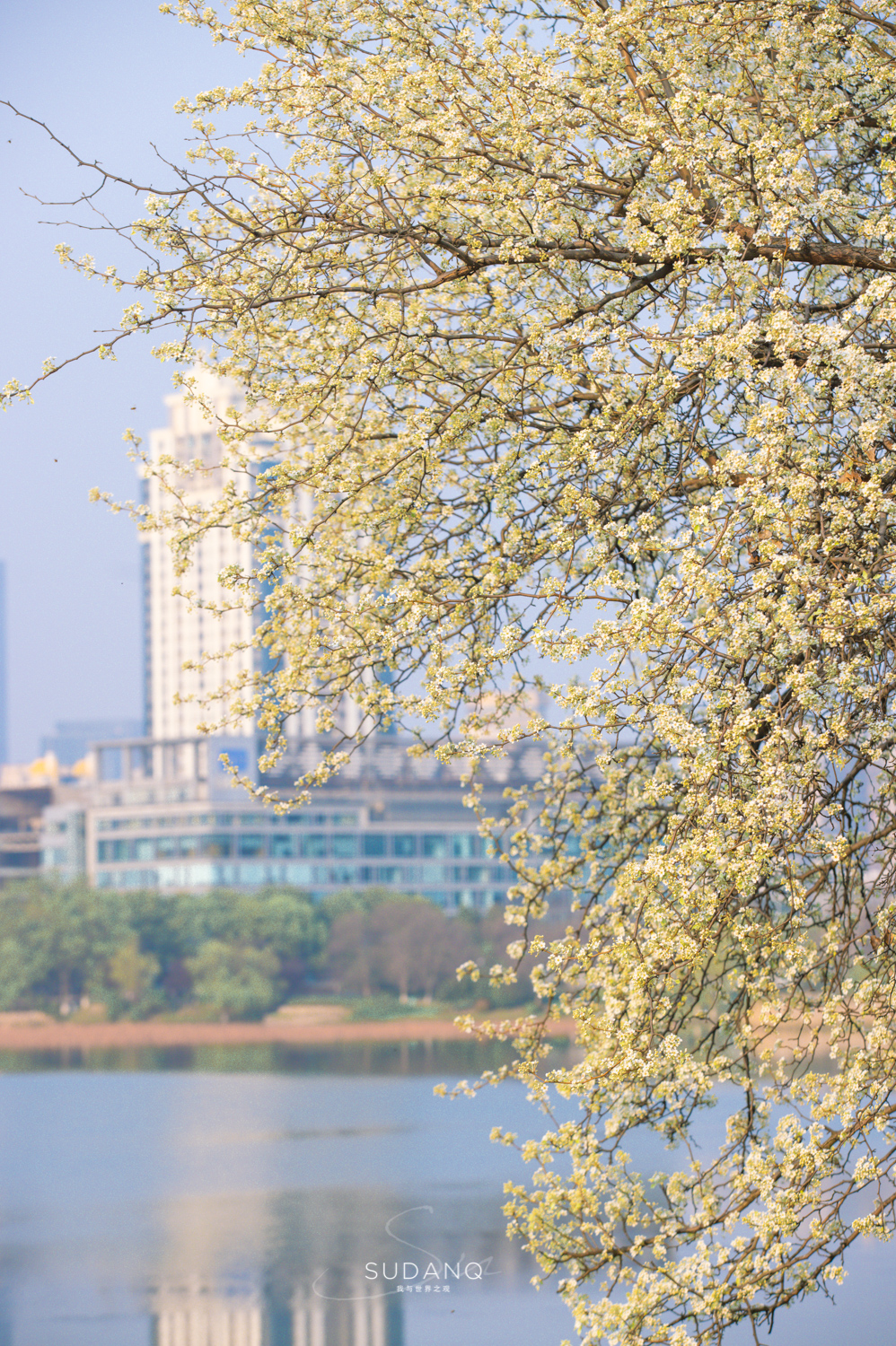 姝︽眽鏈堟箹鍏洯椋庢櫙,姝︽眽鏈堟箹鍏洯缇庢櫙