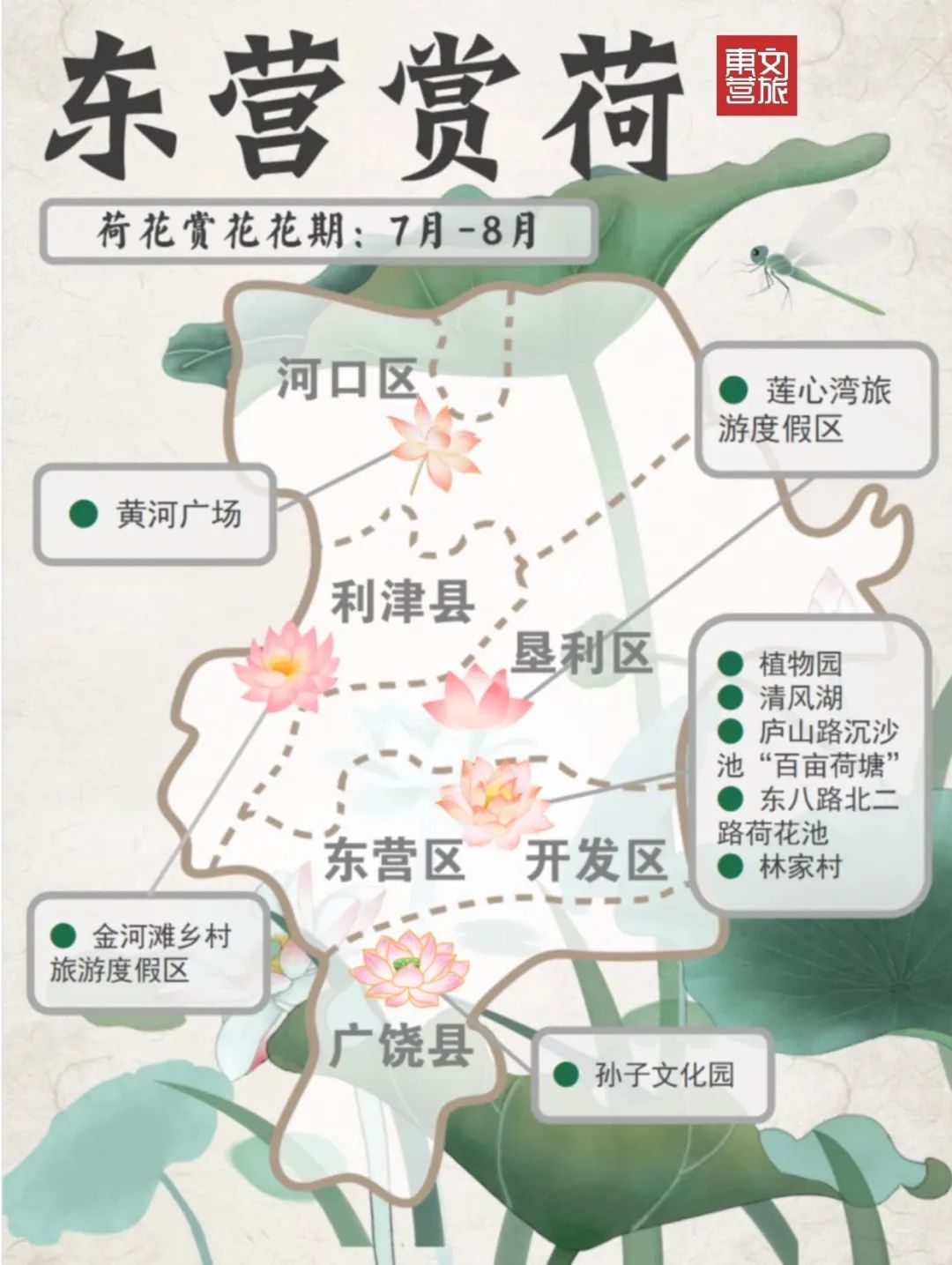 荷你有约环创,荷你有约完整视频